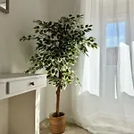 Boutique Osario * Cordoba