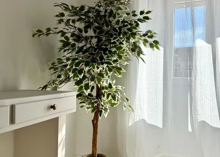 Boutique Osario * Córdoba